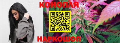 гидра Кингисепп