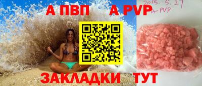 гидра Кингисепп