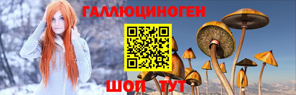Псилоцибиновые грибы прущие грибы Кимовск